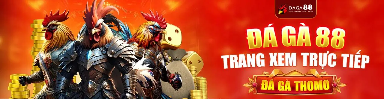 Đá gà Hi8 2026: Sân đấu trực tuyến sôi động